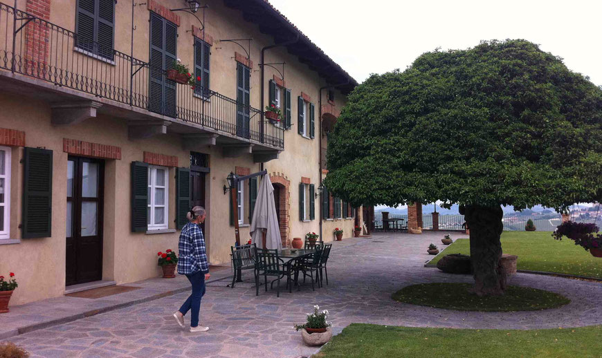 Azienda Agricola Elio Grasso, Località Ginestra, Monforte d'Alba, Piemonte