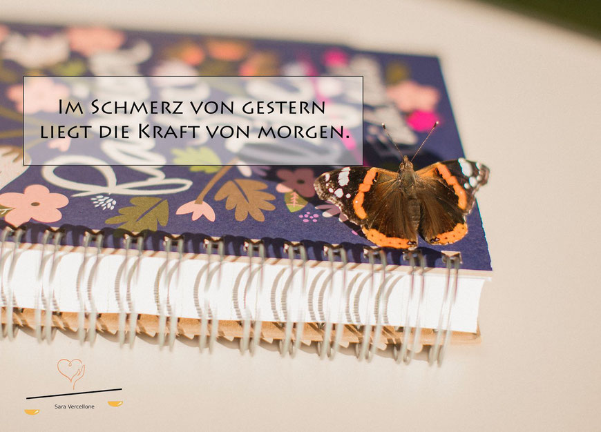 Ganzheitliche Psychosoziale Beratung Sara Vercellone - Blog Die Schmetterlingsgeburt
