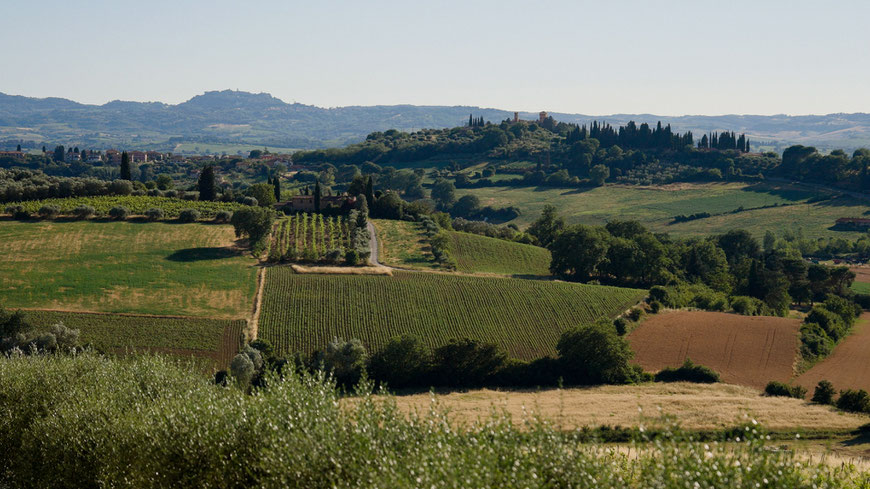 destination wedding in Tuscany at Borgo Tre Rose in Montepulciano. Tuscan countryside