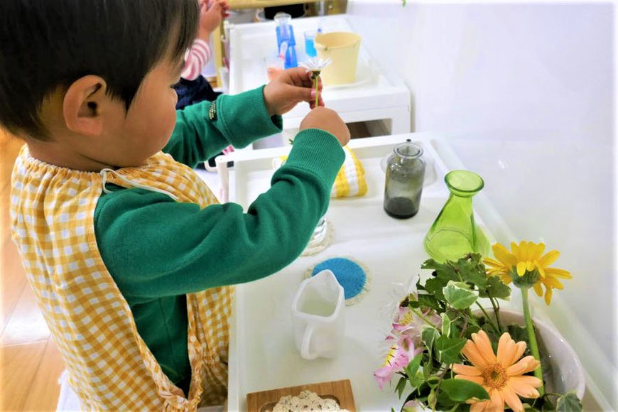 2歳児が花を活けています