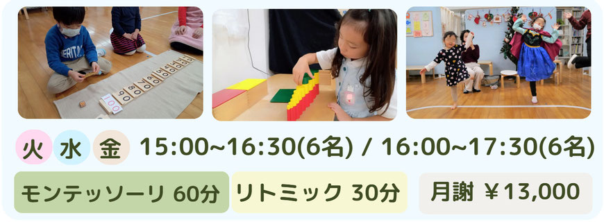 活動を楽しみながら学ぶ力を育みます