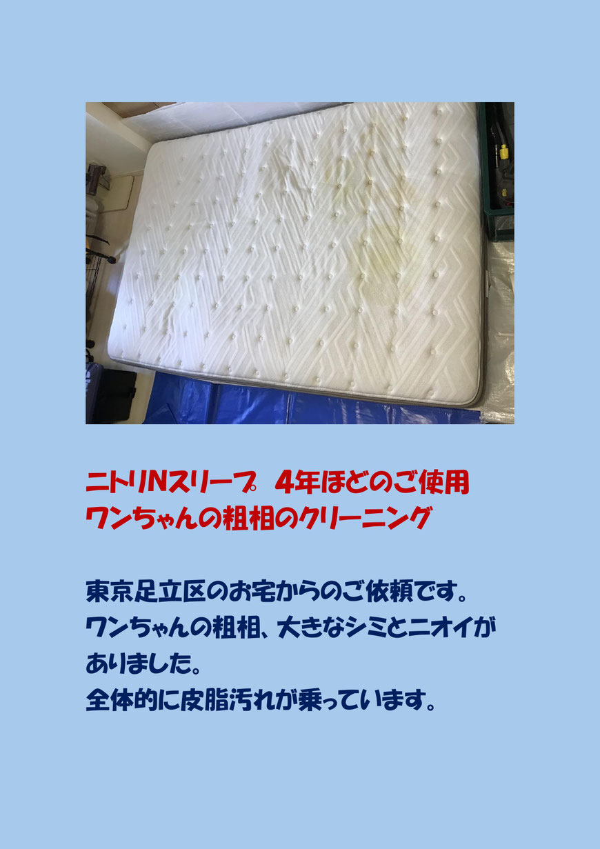 マットレスにペットがオシッコをしてしまった。足立区にクリーニングに行ってきました。