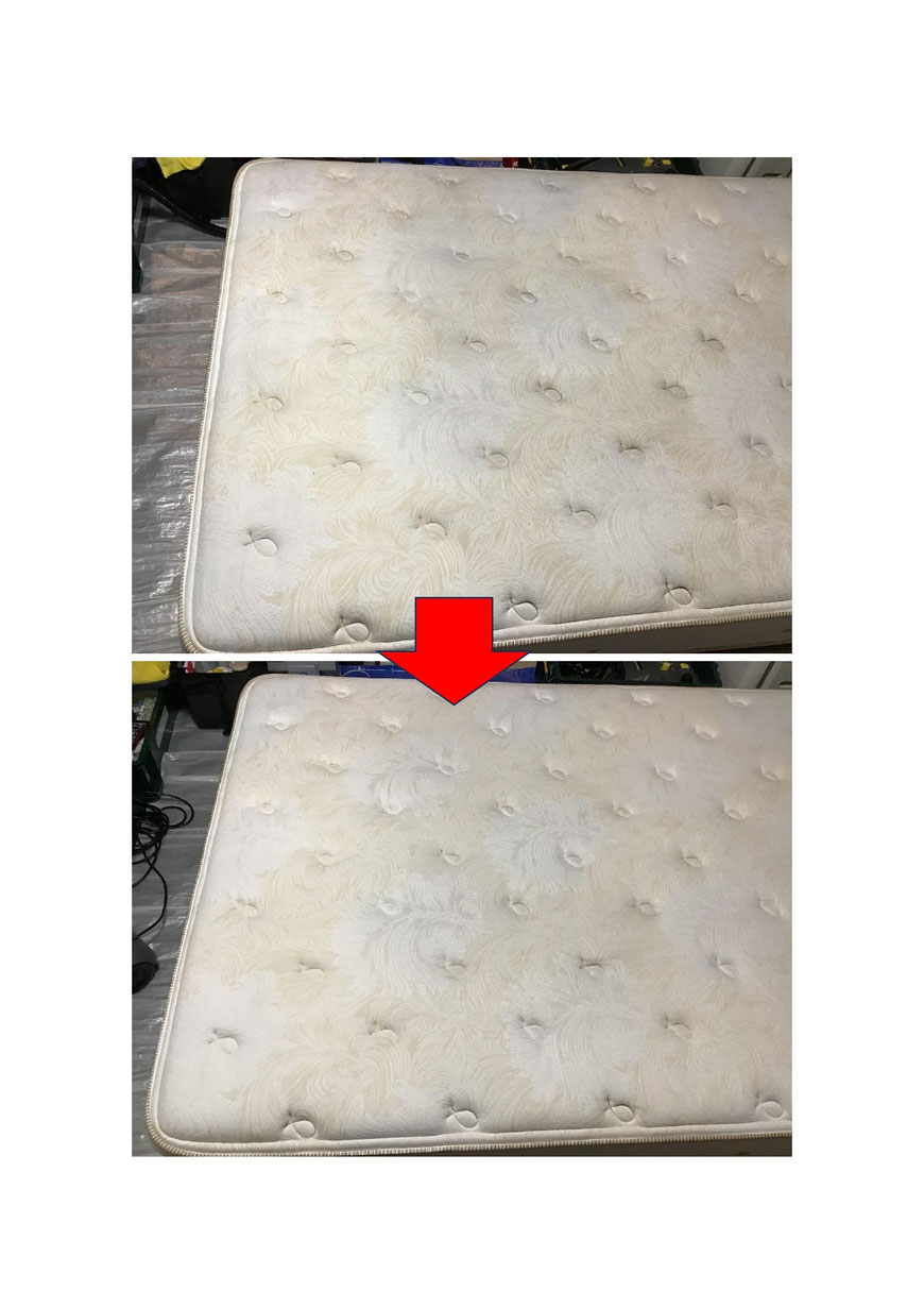 目立つシミはありませんが、全体に皮脂汚れが付着していました。