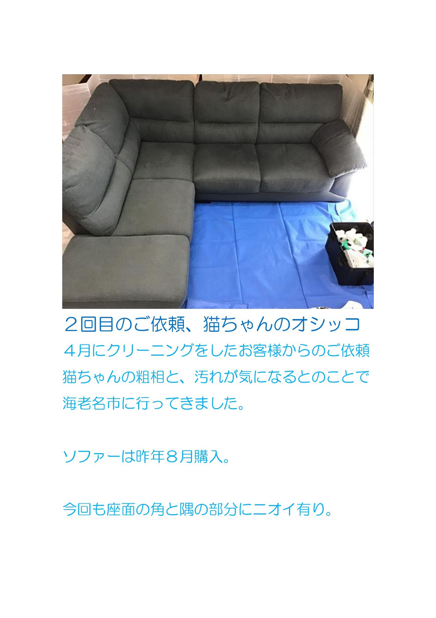 ４月にご依頼いただいたお客様から、「また猫がオシッコしてしまった」との連絡があり、ソファークリーニングに行ってきました。