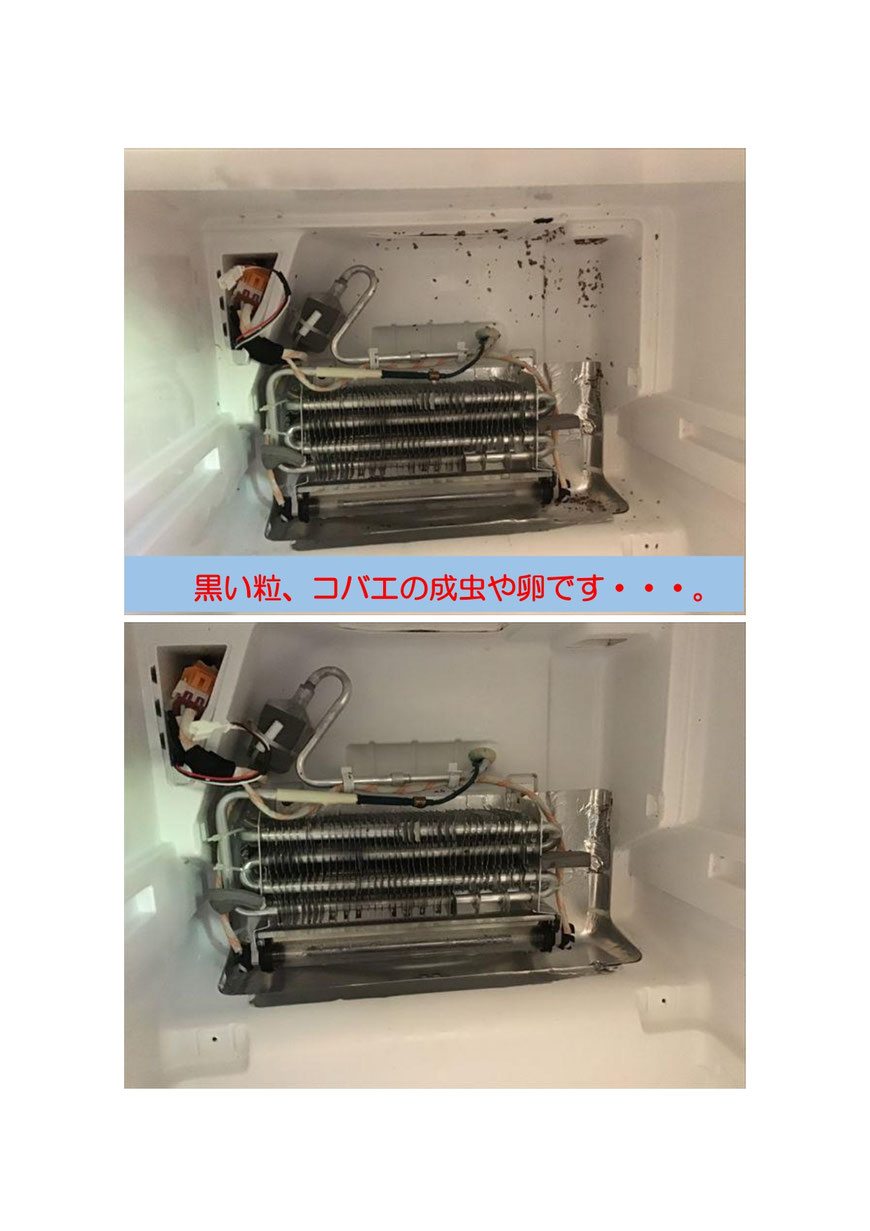 冷蔵庫消臭クリーニング