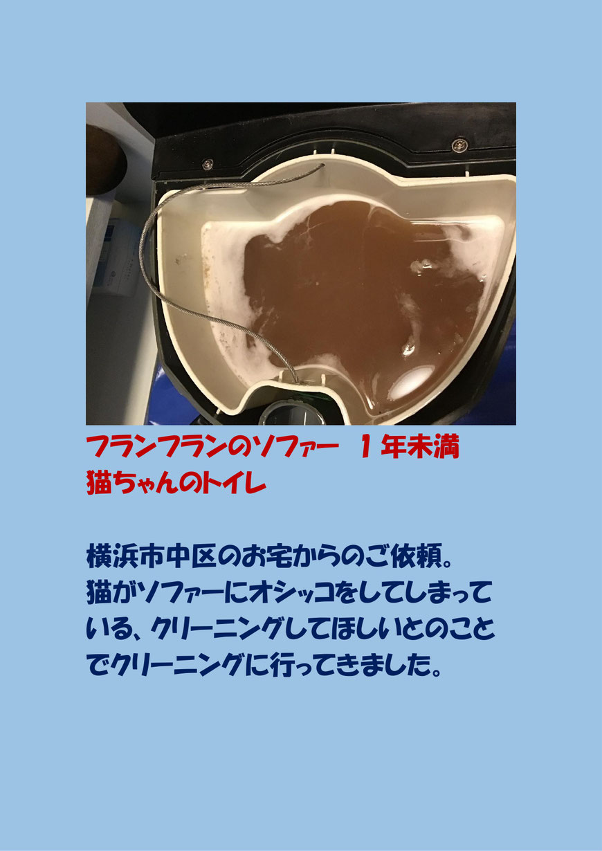 フランフランのソファーに猫がオシッコをしてしまった、クリーニングに横浜市中区に行ってきました。