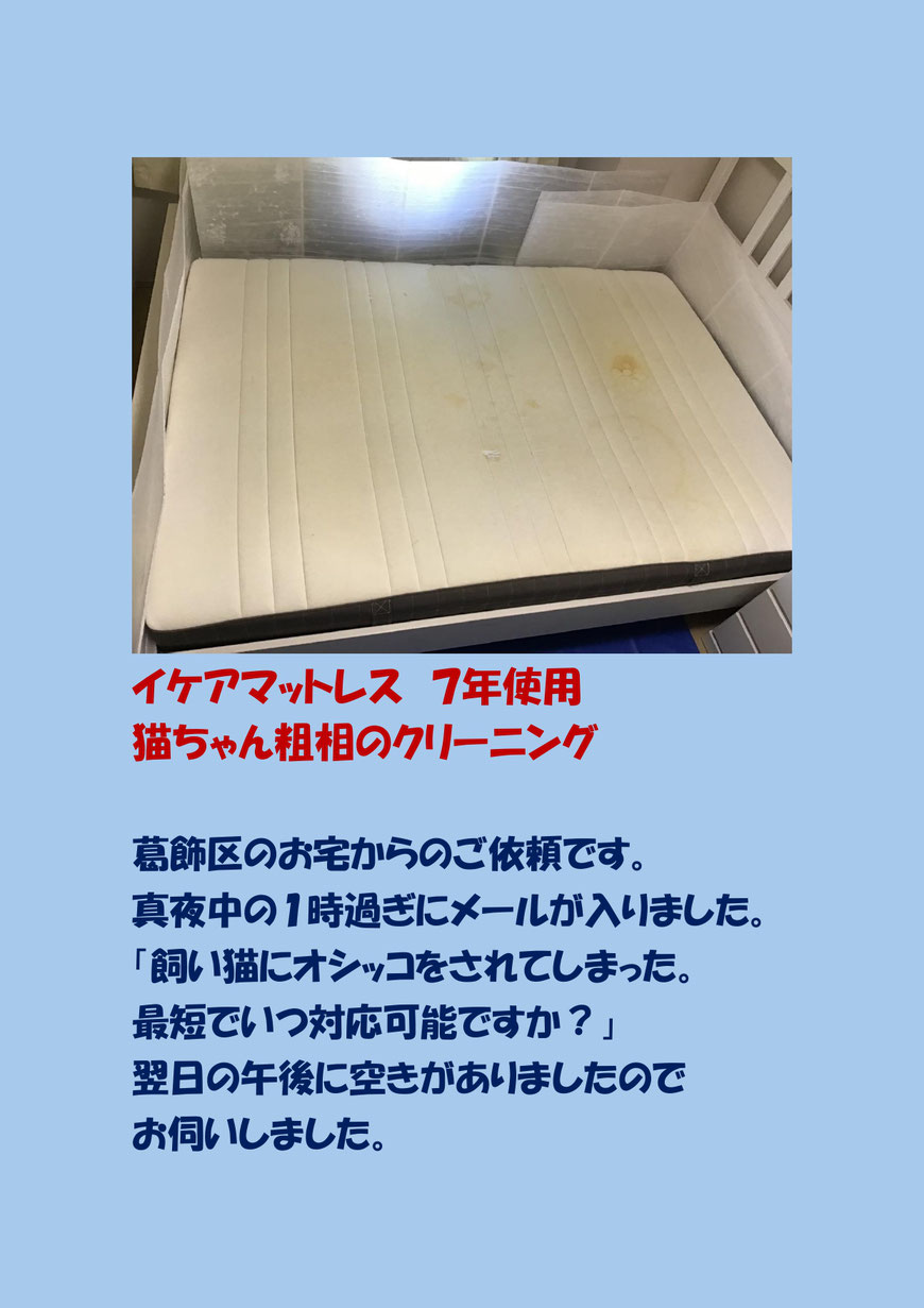 飼い猫に粗相をされてしまったマットレスクリーニングに葛飾区に行ってきました。