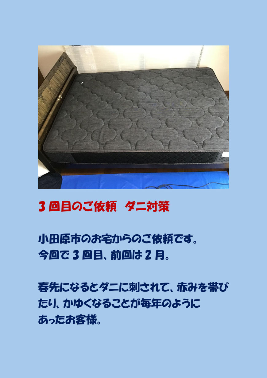 ダニアレルギーでお悩みのお客様、３回目のマットレスクリーニングに行ってきました。