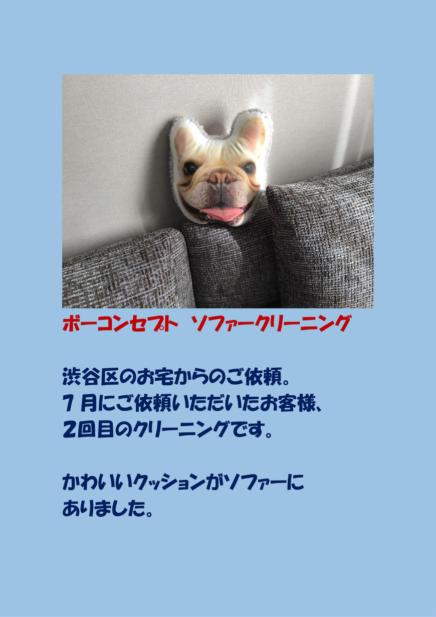 アレルギーをお持ちのお客様宅のソファークリーニングに行ってきました。