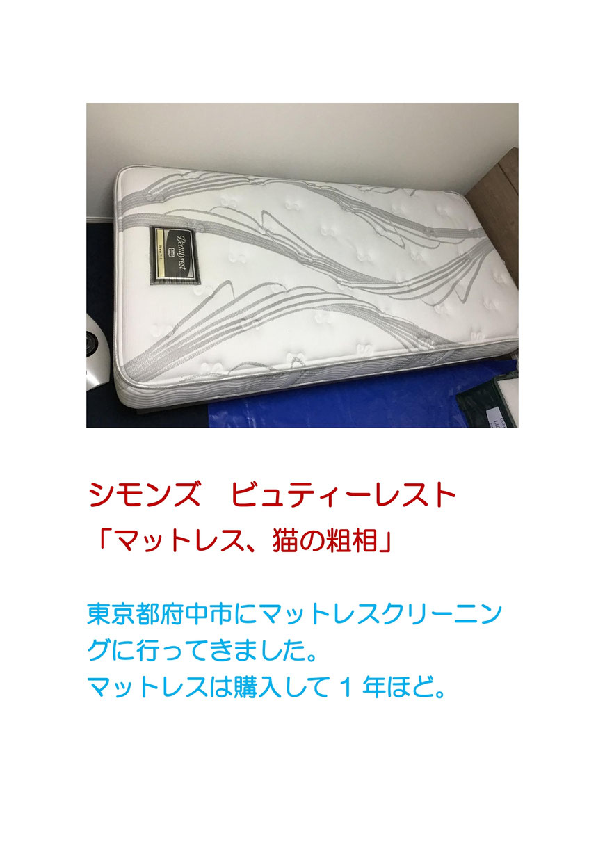 マットレスに猫がオシッコをしてしまった、マットレスクリーニングに府中市に行ってきました。