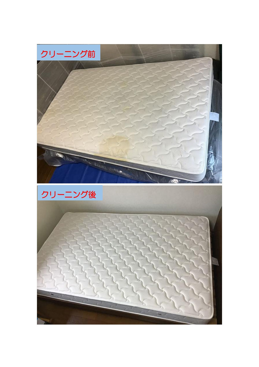 ダニの被害、マットレスクリーニングに小田原市に行ってきました。