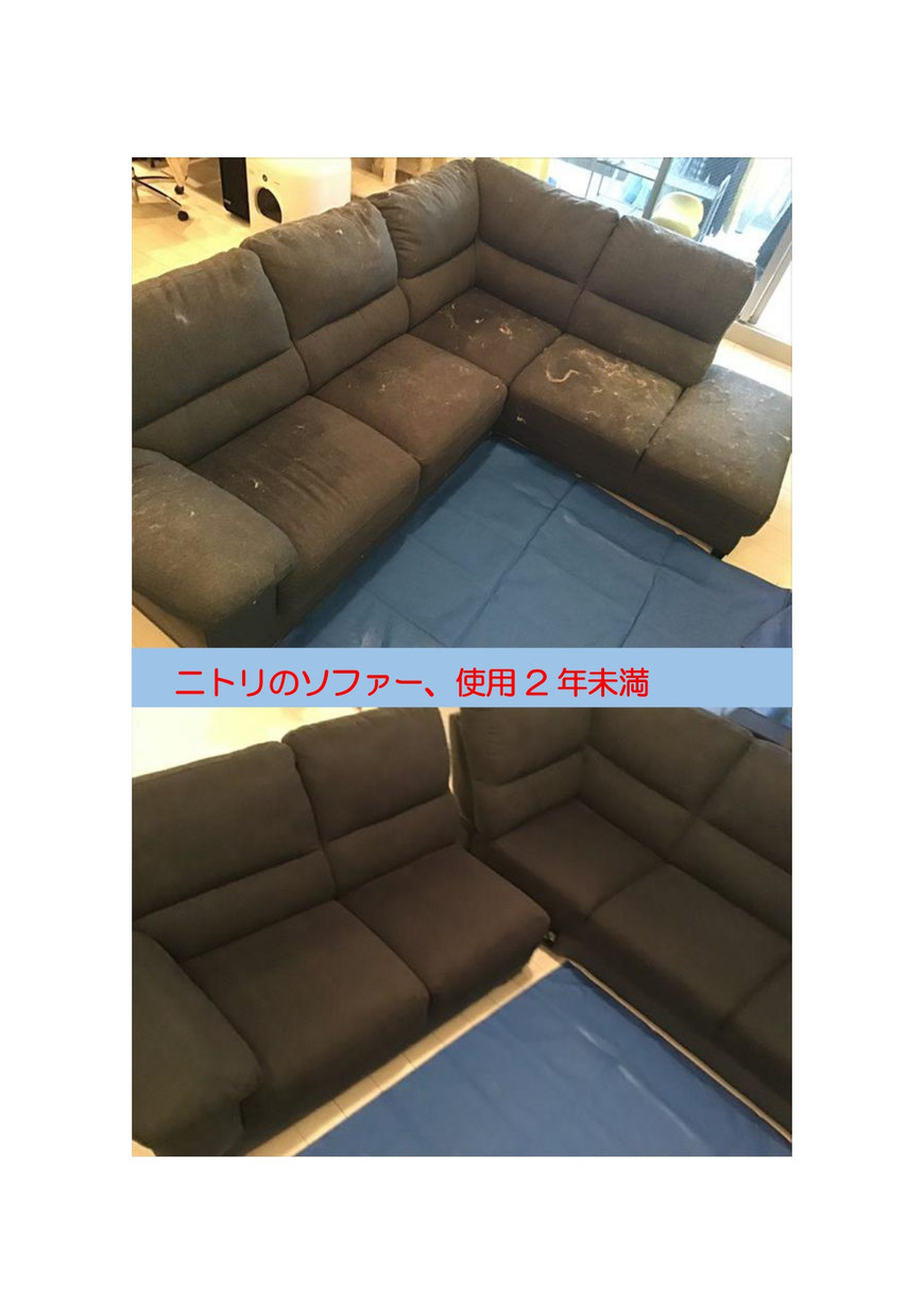 猫ちゃんのオシッコで汚れたソファークリーニングに渋谷区に行ってきました。