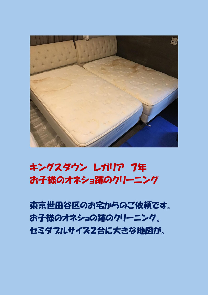 お子様の数々のオネショの跡のマットレスクリーニングに世田谷区に行ってきました。