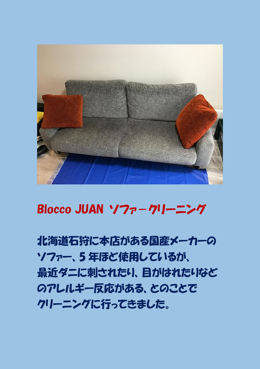 ソファーで寝ているとアレルギー症状が出る、とのことでクリーニングに行ってきました。