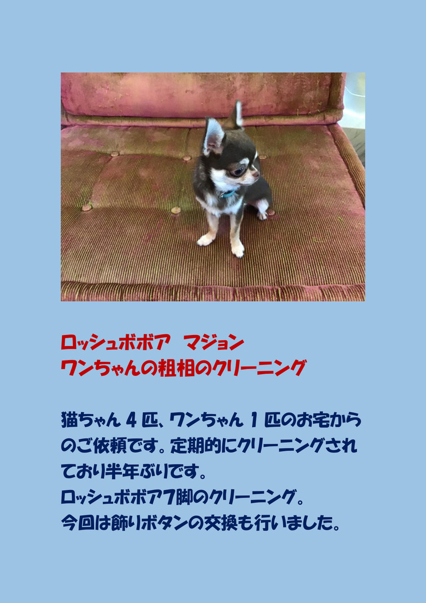 ロッシュボボアのソファークリーニングに港区に行ってきました。