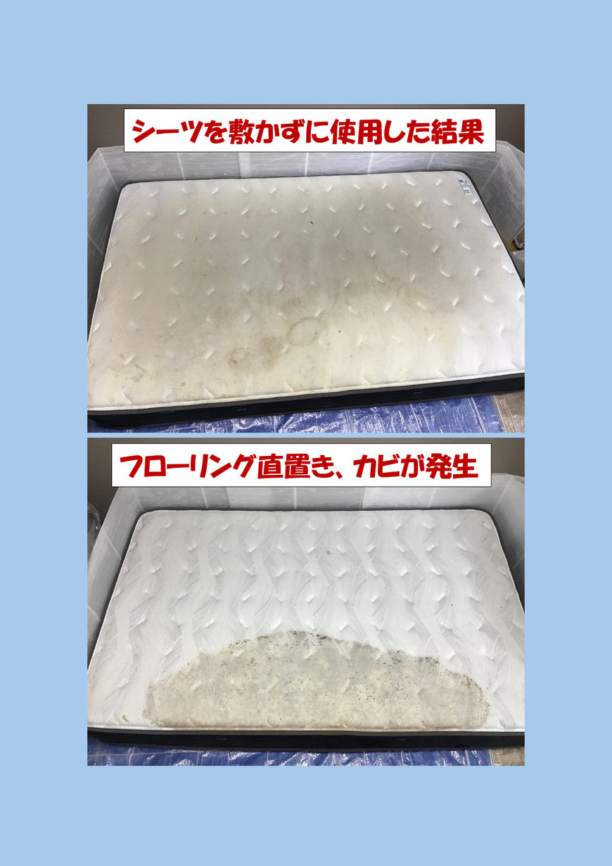 マットレスのカビ除去のクリーニングに座間市に行ってきました。