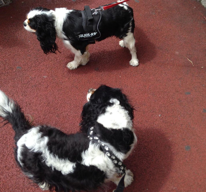 Bella und Betty