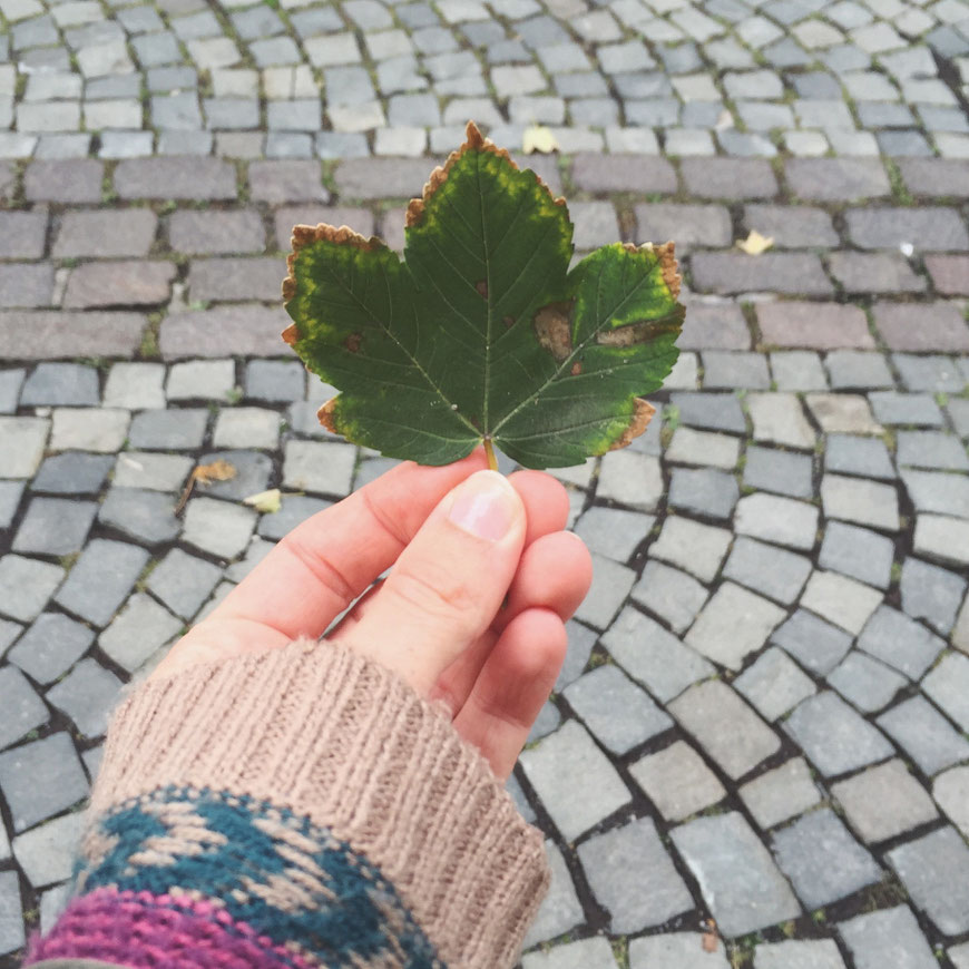 Der Herbst ist da! (c) Salomé Weber