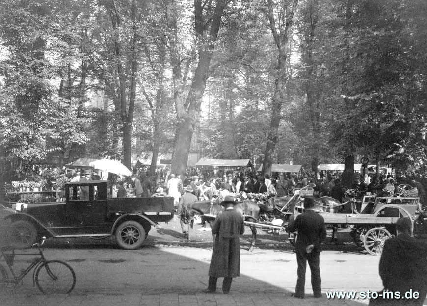 Markttag am Domplatz