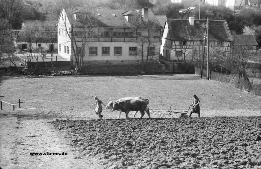 Beim Pflügen