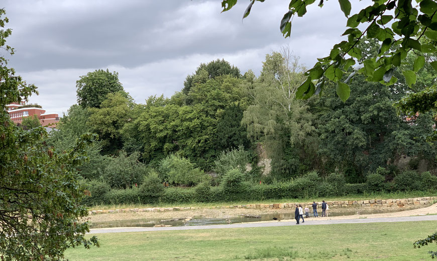 Die hinter dem Bewuchs versteckte Stadtmauer