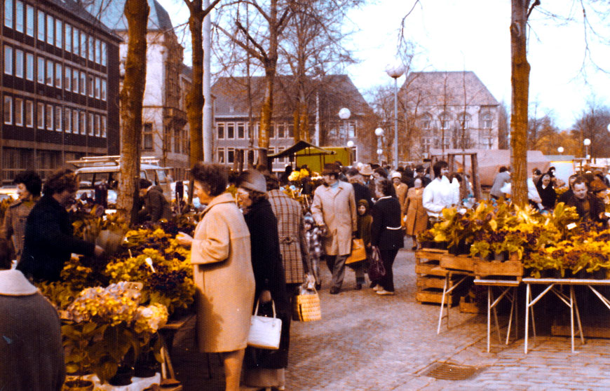 Der Wochenmarkt auf dem Domplatz mit einfach ausgestatteten Ständen
