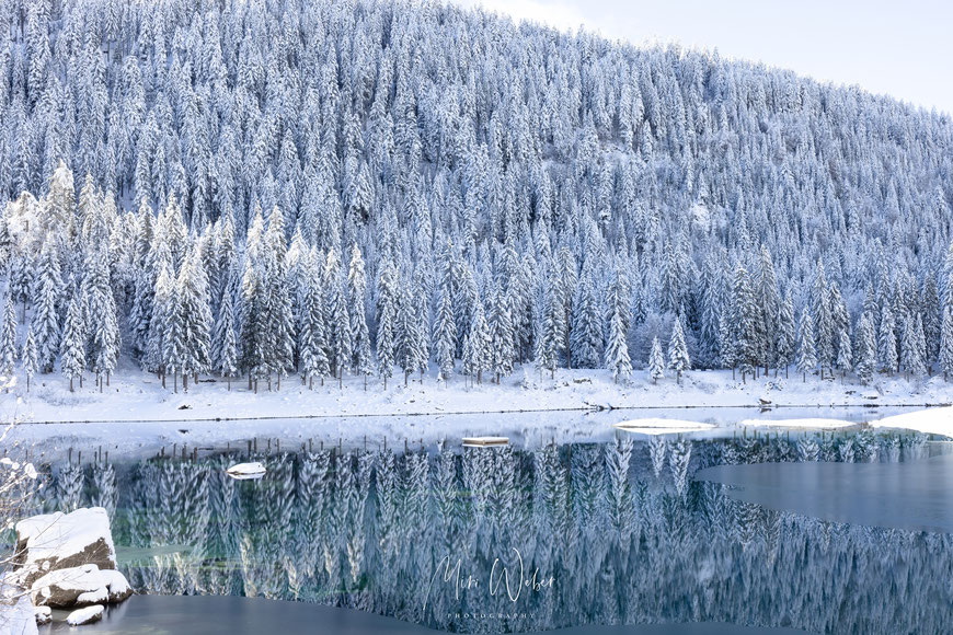 Caumasee Winter, Caumasee Winter Bild kaufen, Bergsee, Flims, Winterbild, Fotograf, Fotografin, Graubünden, Bild