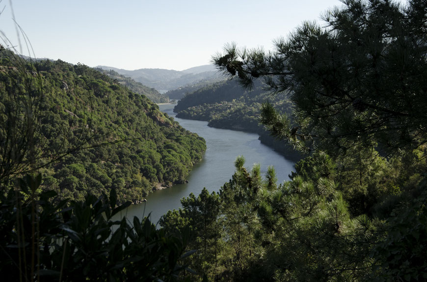 Wild Douro