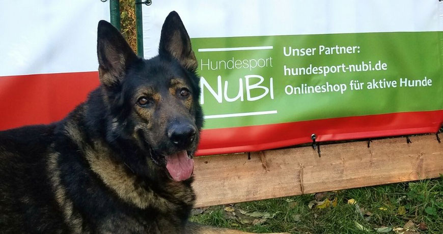 Hundesport Nubi Shop: Sponsor vom Hundesportverein Dortmund Eichlinghofen
