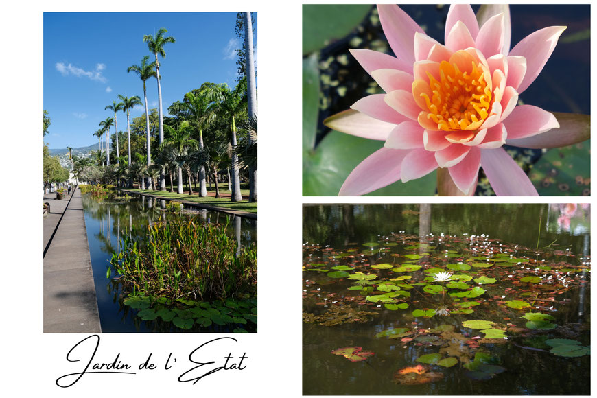 Jardin de l'Etat à Saint-Denis, La Réunion