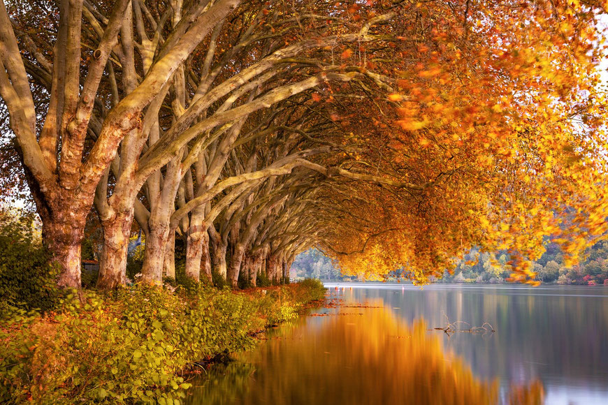 Schöne warme Herbstfarben durch manuellen Weissabgleich