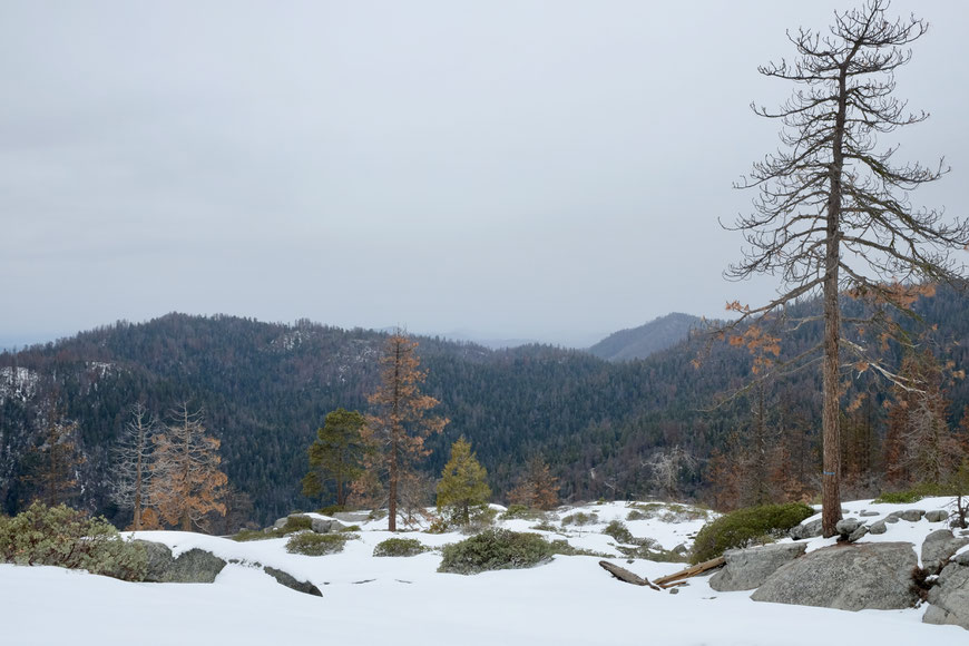 Sequoia National Park