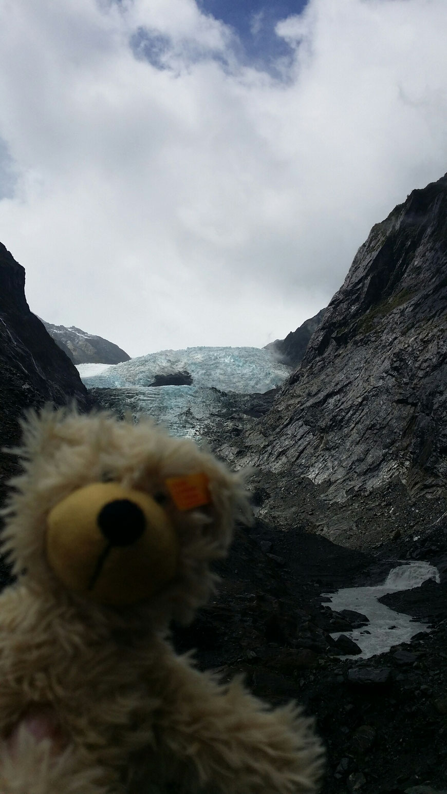 Franz Josef Gletscher