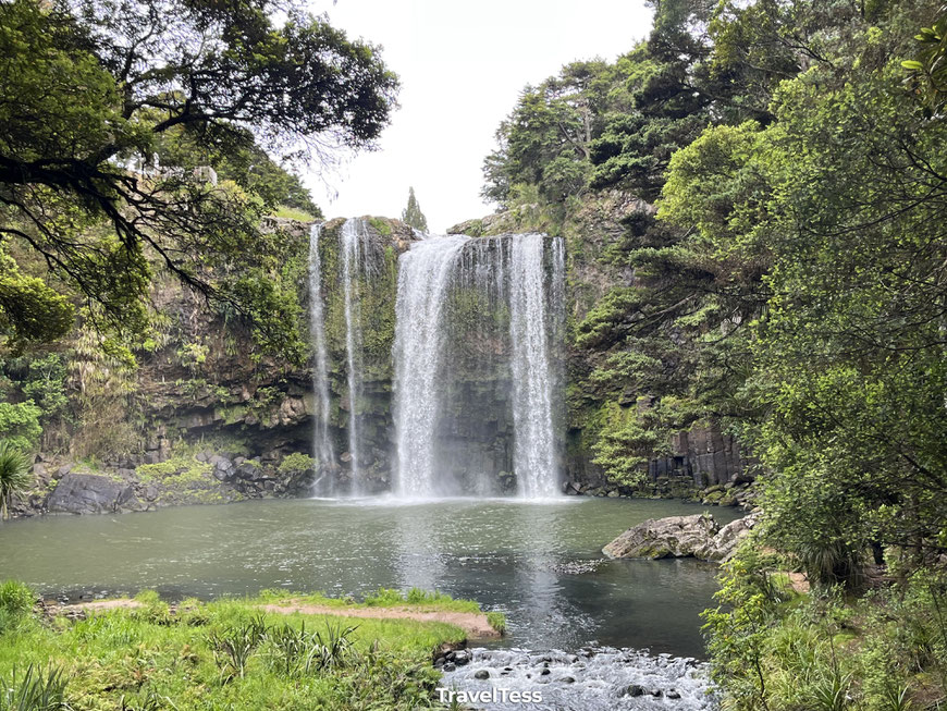 Whangarei falls
