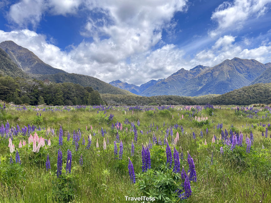 Fiordland National Park