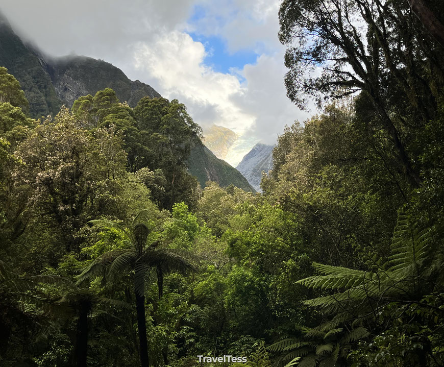 Fox Glacier