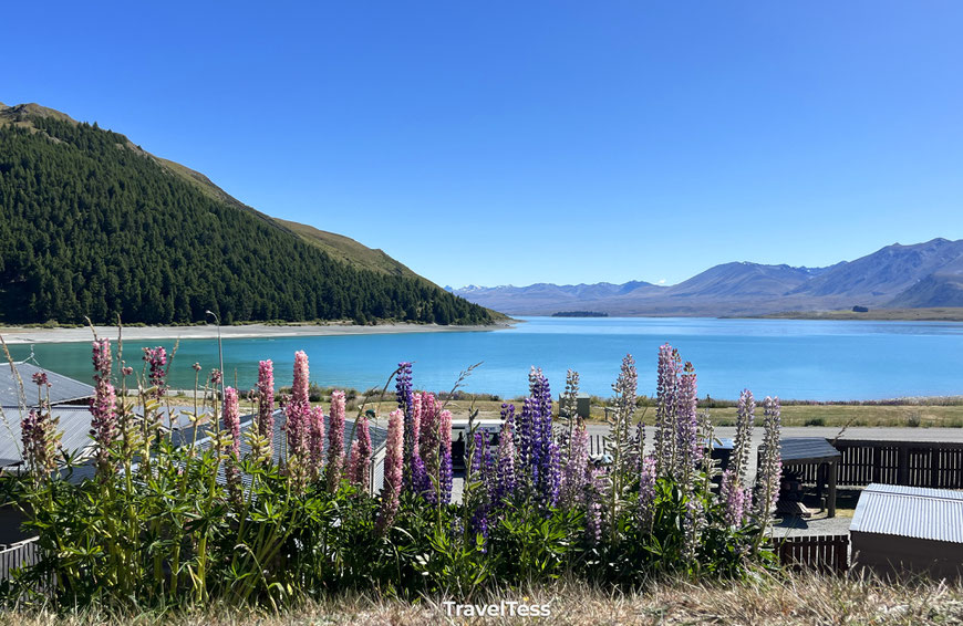 Lake Tekapo