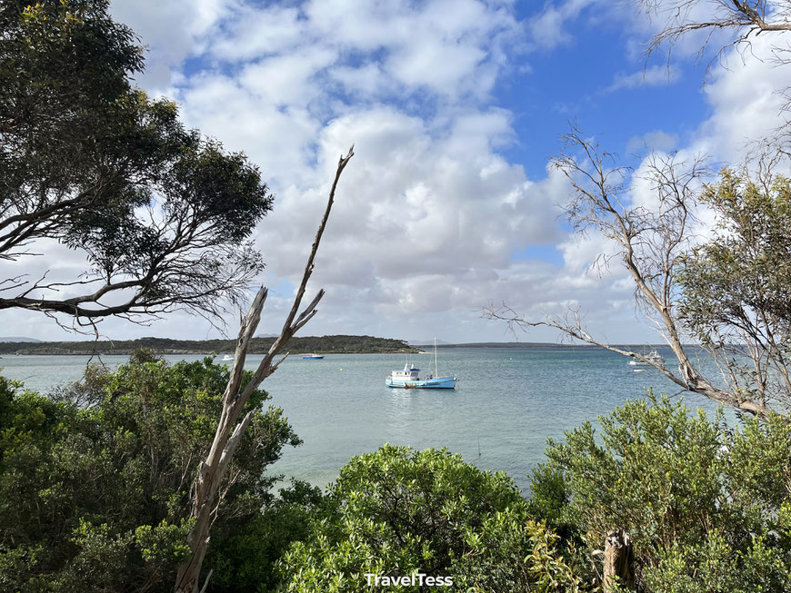 Oyster Walk Coffin Bay