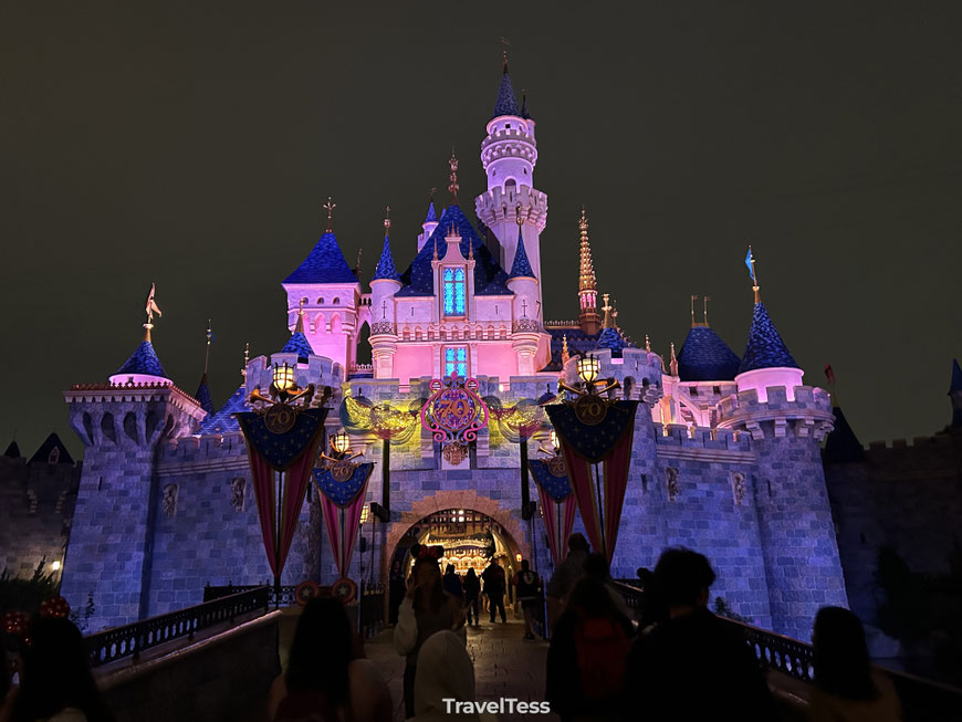 Kasteel van Doornroosje Disney Anaheim