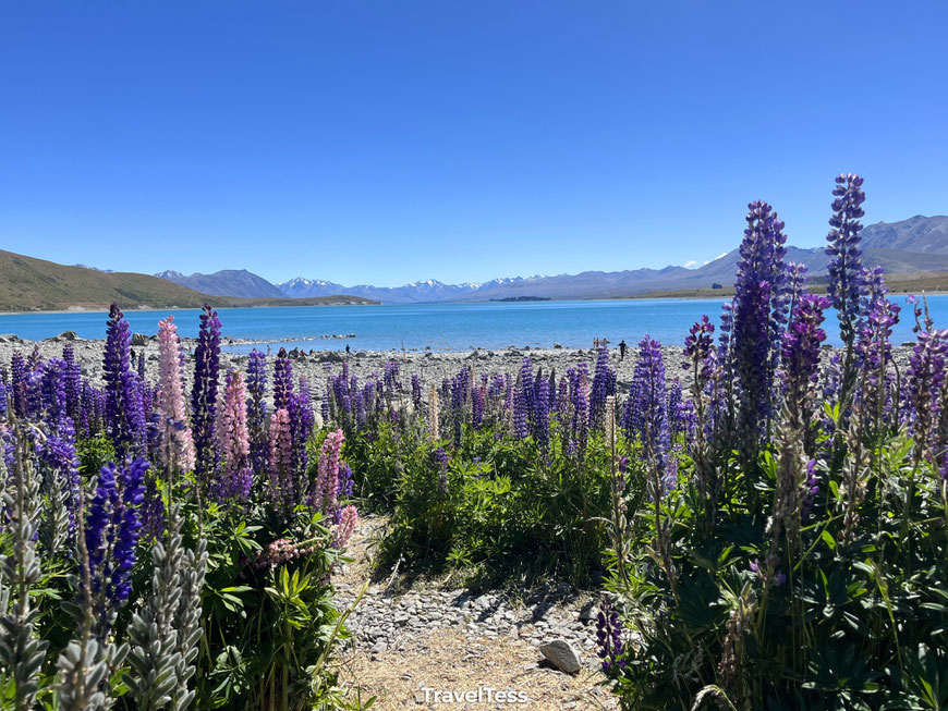 Lake Tekapo