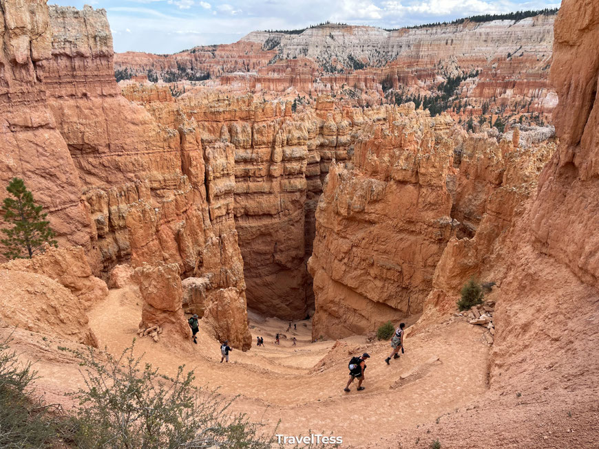Zigzagpaden Navajo Loop