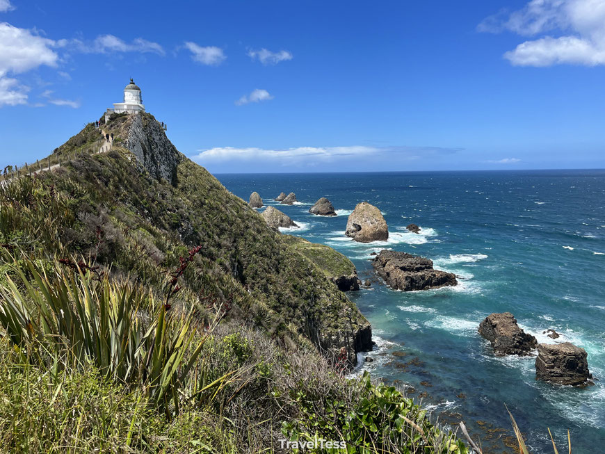 Nugget Point Catlins
