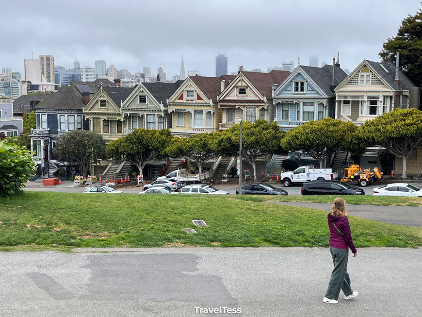Painted Ladies