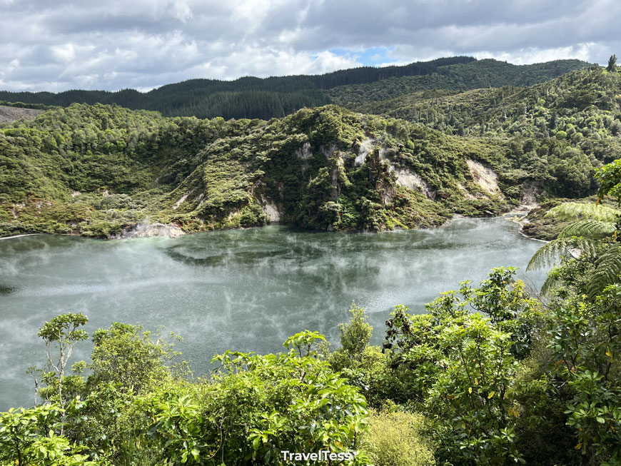 Waimangu Volcanic Valley