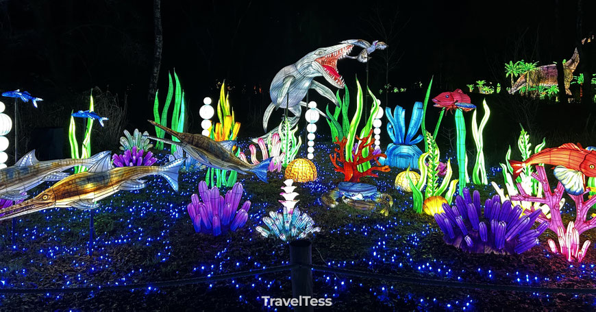 Light Safari Beekse Bergen review
