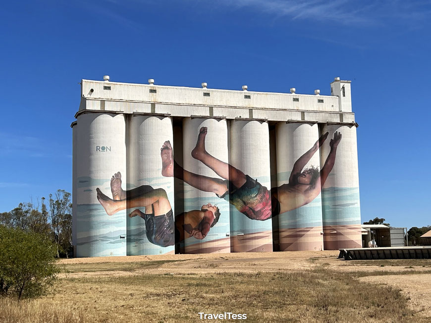 Silo Art Cowell