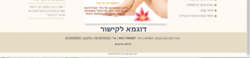 דוגמא לקישור באתר הלקוח