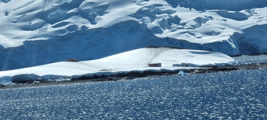 D'Hainaut Island, in het midden van Mikkelsen Harbour. De lijnen door de sneeuw zijn pinguïn highways, de zwarte stipjes pinguïns.