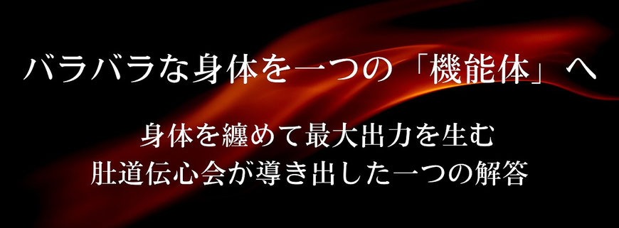 バラバラな身体を、一つの「機能体」へ。身体を纏めて最大出力を生む。肚道伝心会が導き出した一つの解答。