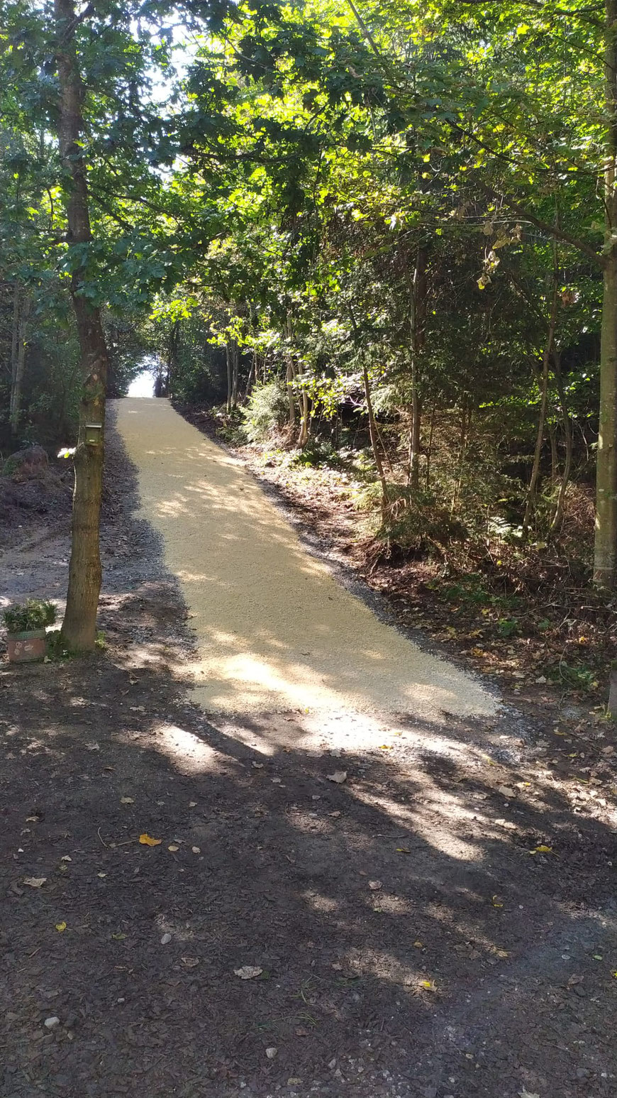 Der Fußweg zum Waldkindergarten ist nun ein weisser Weg